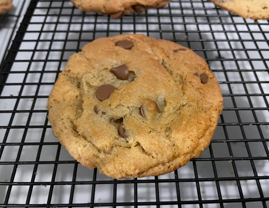 closeup photo of chocolate chip cookie on wire cooling rack