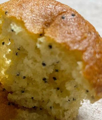 image of the delicious inside of a gluten-free 
lemon poppy seed quick bread ready to take a bite
